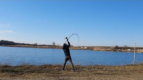 Casting lansete prologic