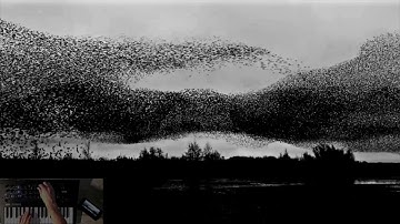 Korg Minilogue xd | Ambient patch | Søren Solkær