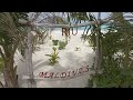 30 minute walk round RIU ATOLL beach MALDIVES 360 HD virtual visit POV jan 2021