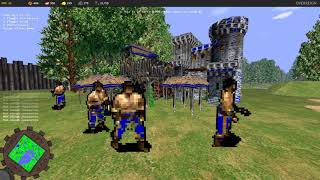 First Person Age of Empires 2 AoE2