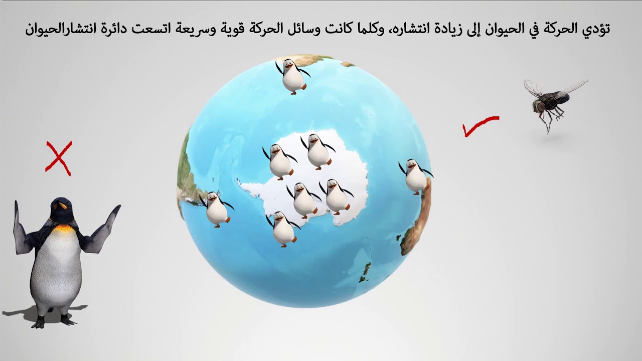 أحياء الصف الثالث الثانوي 2020 / الدعامة والحركة  - الحركة في النبات 🌿🌿【أحمد غريب】