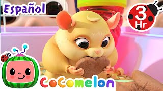El Hamster va al cole! | CoComelon y los animales | Dibujos para niños