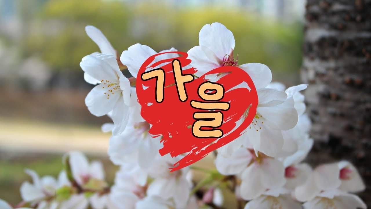 교회 가을음악회 #주하나님지으신모든세계 🥳😎