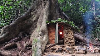 Build a house under a giant tree, bushwalk in the forest
