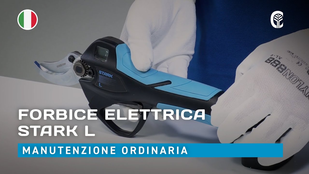 🇮🇹 Manutenzione ordinaria: CAMPAGNOLA STARK L