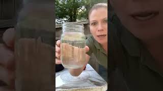 Water pollution demo