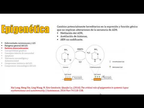 Vídeo: La Genética Del Lupus: Una Perspectiva Funcional