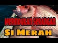 Mencari strike di spot lama bernama landangan