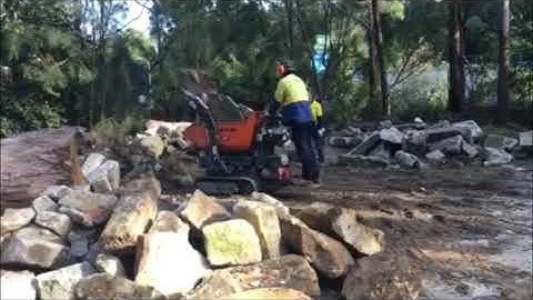 Cormidi Dumper 800 - self loading