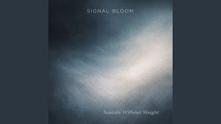 Orbital Stillness