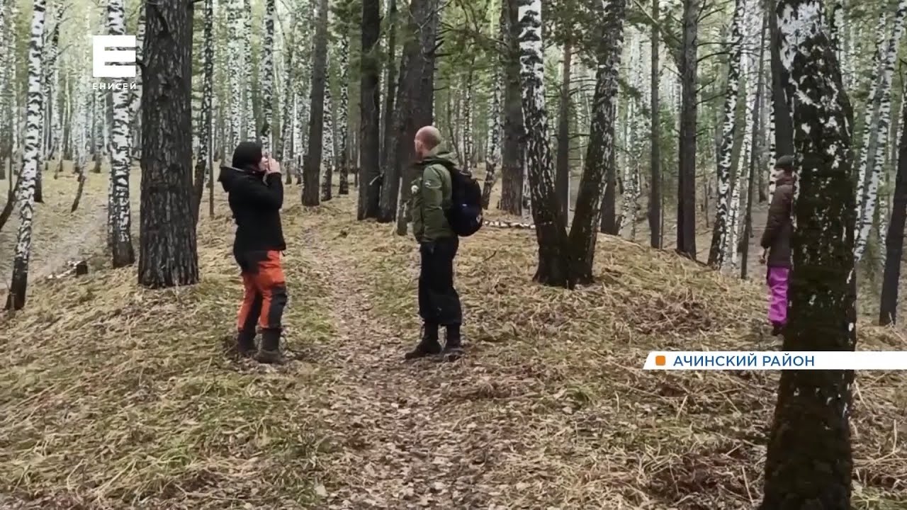 охотятся сутки если выживет получит 24.5 миллиона