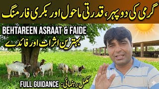 (1160)Garmi ki dopher or natural beauty/O mazay kheto k