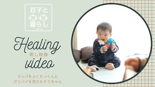 【癒し映像】　ラッパをふくたっくんとズリバイを始めたそうちゃん