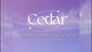 Cedar - Nshakosa Mwinsha Neka