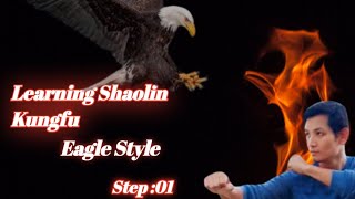 Learning Kung Fu Eagle Style Step 01