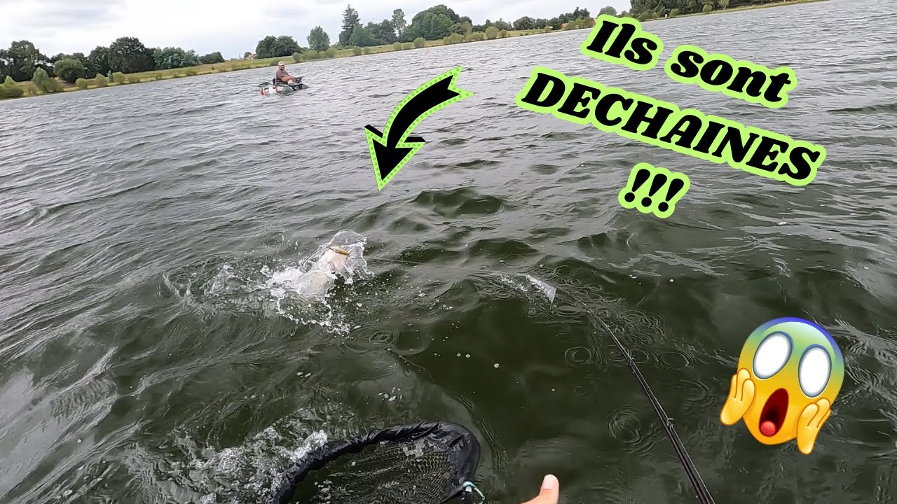 Leurre De Pêche Gros Jeu Bost #29 Blackhead - Teaser Trolling Pour Marlin, Hameçon 12/0