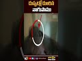 Cobra found in sleeping man's bedsheet