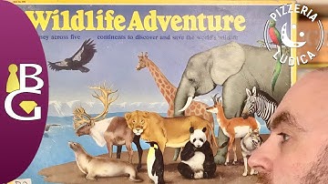 Wildlife Adventure / Expedition — How to Play, and Why It