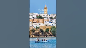 ياسر الدوسري - سورة النمل ٣٤ - ٣٦ #قران_كريم #اية