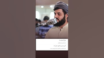 شيخ رعد الكردي حالات واتس اب | سورة: (الماعون: ٤)