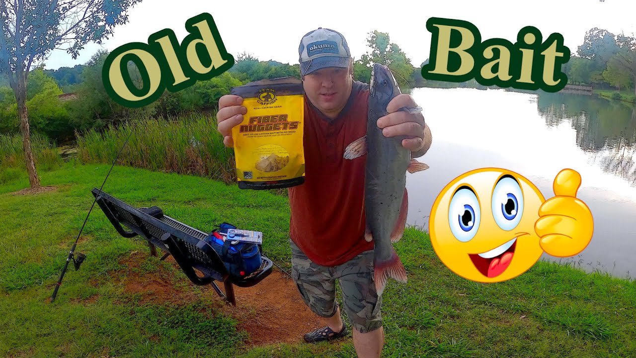 Pond fishing with OLD Team Catfish Fiber Nuggets!!!