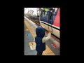 スーパーはくとを見に行った