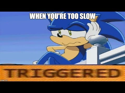 Sonic Fanbase in a Nutshell | Sonic the Hedgehog | Know Your Meme