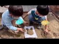 [영유아] 시립하랑어린이집 - 프로그램 소개