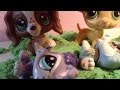 LPS Wolf Pack (THE REMAKE) episode 1 (foxes in the pack?)