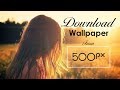 How to download imagephoto from 500px