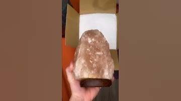 #shorts For the best gifts, I stick with mytruwood  watch till the end woodwatches that plant10trees