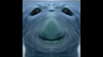 Preview 2 sin deepfake with 6 effects