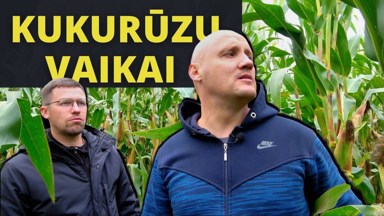 KUKURŪZŲ VAIKAI || AGRO REIDAS #70