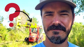 Is a LANE SHARK Worth It?  Live Action And Review