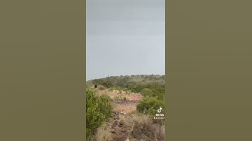 دحيم الحماد 1443ه آية من سورة الشورى