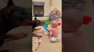 Doberman and baby share the sweetest moment