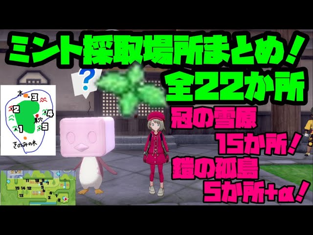 ミントの採取場所全て教えます 冠の雪原15か所 鎧の孤島5か所 Aの計22か所 ポケモン剣盾 Youtube