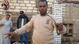 صيد ثعبان ابو السيور داخل بيت مع مصطفى هجرس