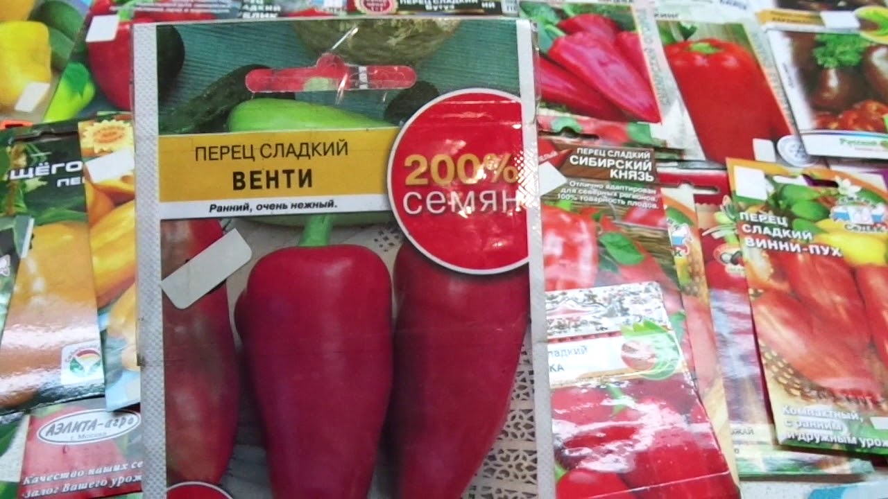 КАКОЙ ПЕРЕЦ ВЫБРАТЬ? СОРТ ЛАСТОЧКА. ОБЗОР. Ольга Чернова.