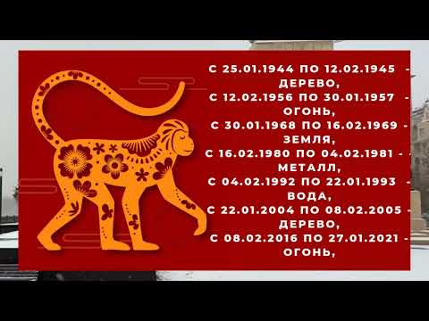 🐉Гороскоп на 2024 год для рожденных в год ОБЕЗЬЯНЫ, 1956, 1968, 1980, 1992, 2004 или 2016 годах.