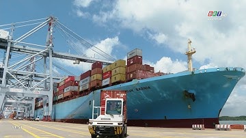 Cái Mép-Thị Vải nằm trong top 50 cảng biển hiệu quả nhất thế giới | BRTgo