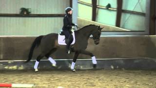 Twister (Tailormade Temptation/Loudino)