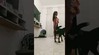 A Gata Abrindo Escala