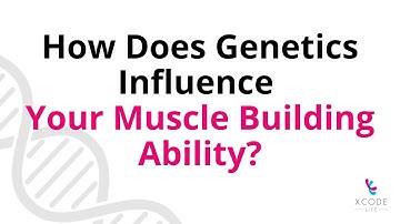 Everything You Need To Know About The Muscle Building Genes