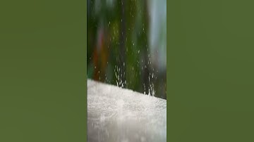 من مقاصد سورة الضحى - همسات 275