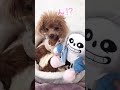 犬のベッドにサンズがいた時の反応 Shorts Dog Sans 犬のベッドにサンズがいた時の反応 Shorts Dog Sans