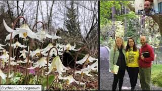 Ben Stormes: The North American Gardens at UBC Botanical Garden