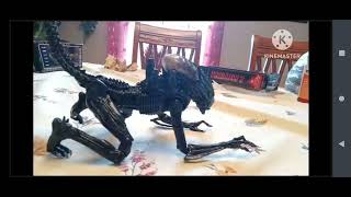 AVP stop motion test
