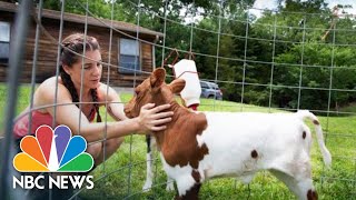 How Student Debt Is Crippling Young Farmers And The Future Of Agriculture | NBC News
