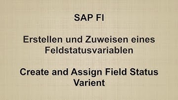 SAP FI - Create and Assign Field Status Variant